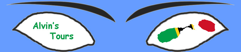 alvinstours