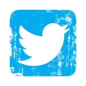 Visit us on twitter